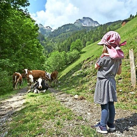 Bed And Breakfast - Die Aelplersuit Fuer Backpackers Im Berghuesli Linthal 외부 사진