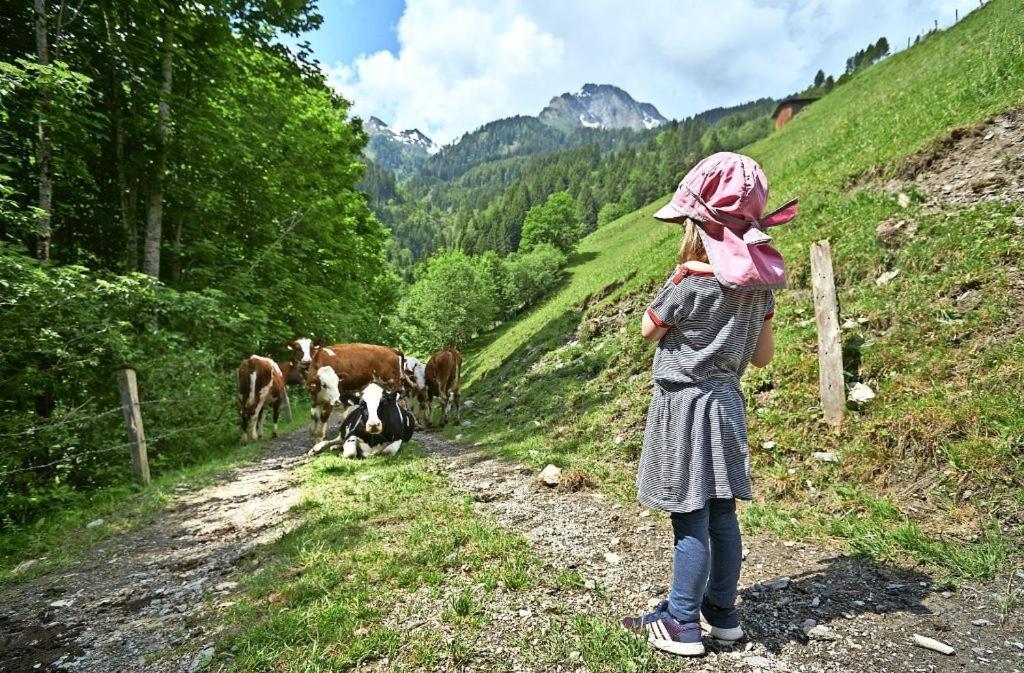 Bed And Breakfast - Die Aelplersuit Fuer Backpackers Im Berghuesli Linthal 외부 사진