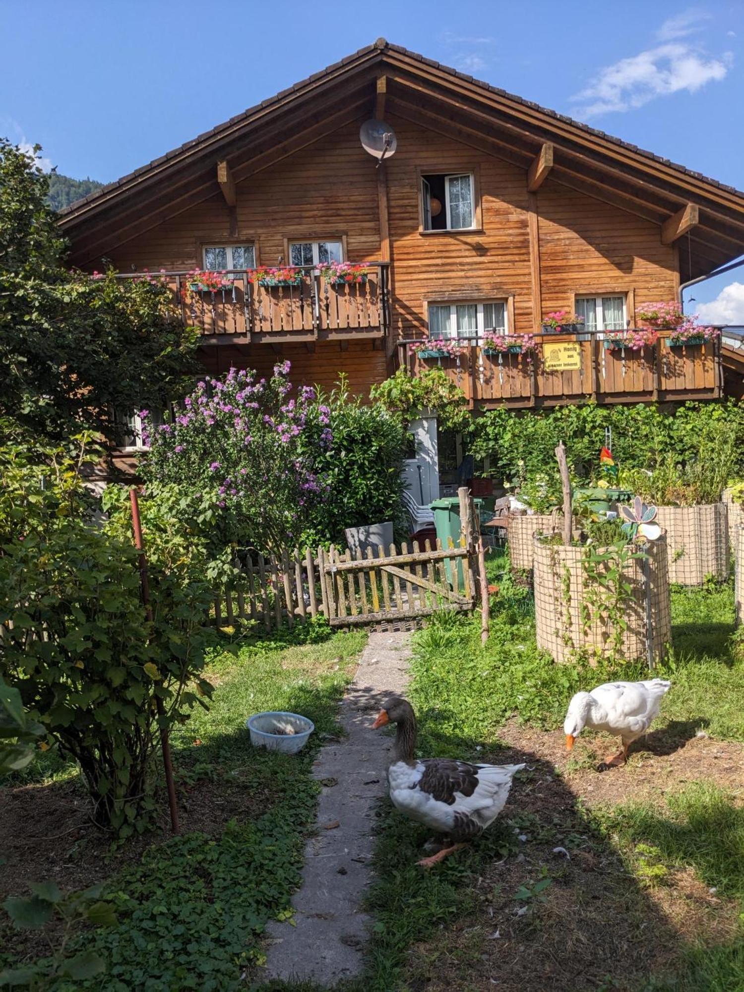 Bed And Breakfast - Die Aelplersuit Fuer Backpackers Im Berghuesli Linthal 외부 사진